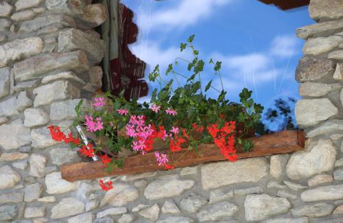 La Cretaz-Roisan Apartment | La casa di nonno "cien"