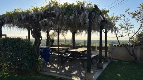 Cerrione House | La Casa di Pietro