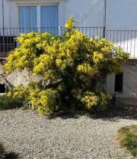 Cerrione House | La Casa di Pietro