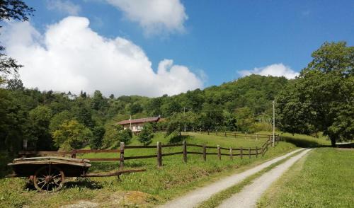 Berzano di San Pietro Bed & Breakfast | La casa in collina