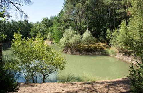 Civitella in Val di Chiana House | La Casa nel Bosco
