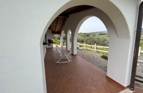Berchidda House | La casa nell'oliveto