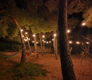 Pizzo Apartment | La Casa Nella Pineta - Gallipoli