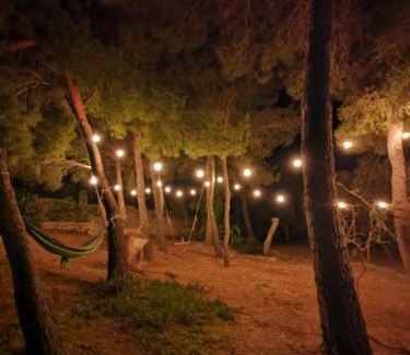 Pizzo Apartment | La Casa Nella Pineta - Gallipoli