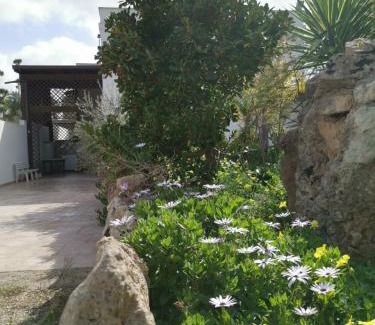 Pizzo Apartment | La Casa Nella Pineta - Gallipoli