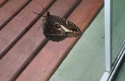 Prumirim Bed & Breakfast | La Casa Rozada Prumirim