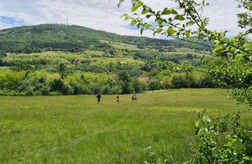 Mladenovac Villa | La Casa Sofija