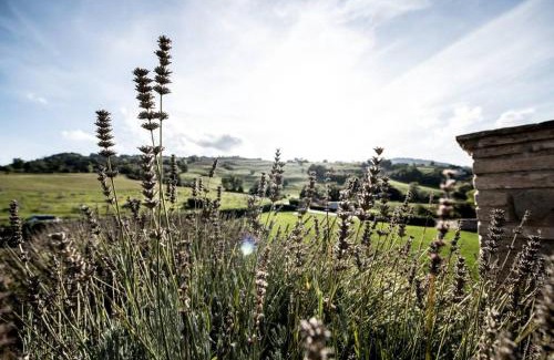 Rotella House | La Casa Vacanza con vista panoramica sui vigneti