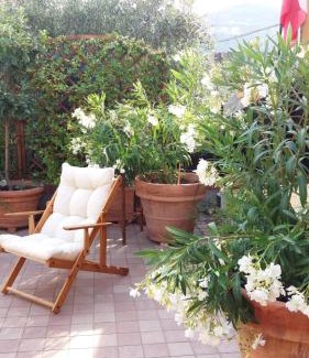 Oneglia Bed & Breakfast | La casetta di Giuci