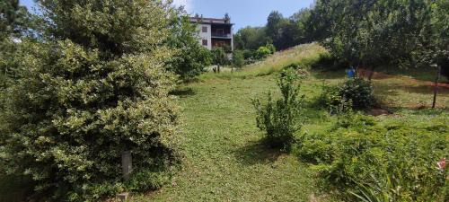 Roburent Apartment | La Casetta in Codevilla - Roburent
