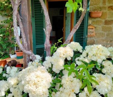 Porciano Apartment | La Casina