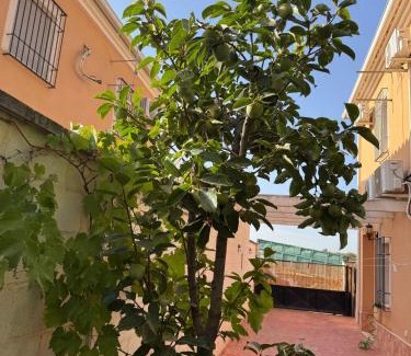 Humilladero House | La Casita de Blanca