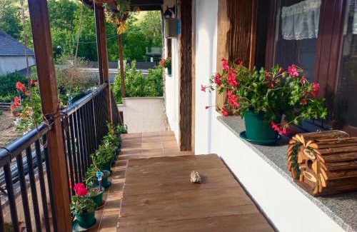 San Esteban de Valdueza House | La casita de la señora María
