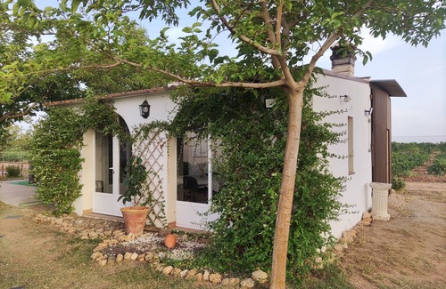 Socuellamos Ski Chalet | La Casita de los Almendros