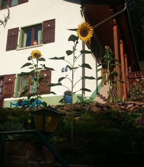 Eberbach Apartment | La casita linda