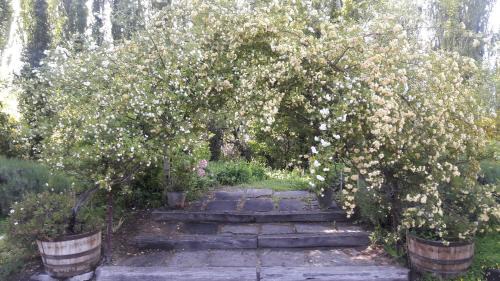 Trelew House | La Casona del Rio