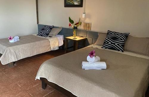 San Lorenzo Apartment | La Casona don Miguel