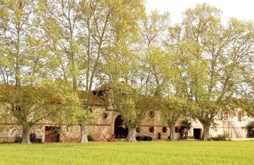 Fourques House | La cave de Grand Cabane