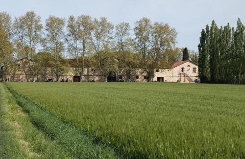 Fourques House | La cave de Grand Cabane