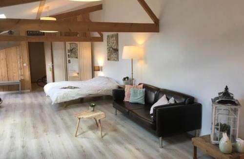 Annoeullin House | La Chicorée
