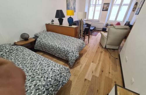 Selestat Apartment | La cigogne d'Alsace 3