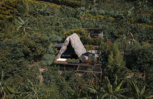 Buenavista Hotel | La Cima Eco Hotel