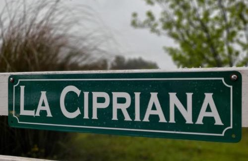 Uruguay Department House | La Cipriana