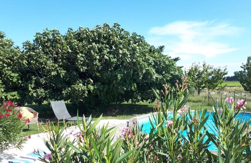 Lamotte-du-Rhone Bed & Breakfast | La Clé d'Ailleurs