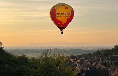 Katzenthal Apartment | La Closerie du Château - Vignoble à 10mn de COLMAR