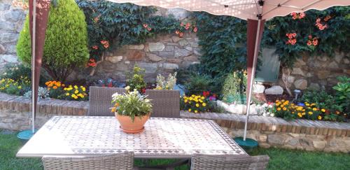 Donnas House | La Coccinella