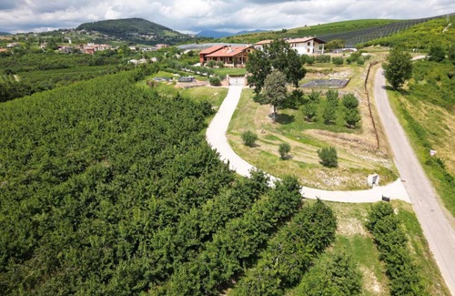 San Mauro di Saline House | La Collina dei Ciliegi