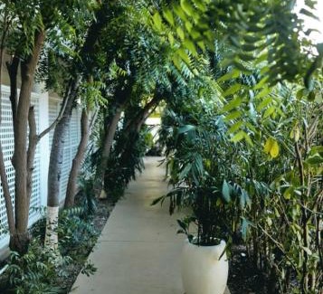West Bay Apartment | La Concha