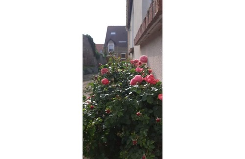 Brequerecque House | La Cour Pavée