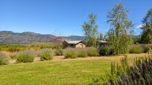 El Hoyo House | La Cristalina