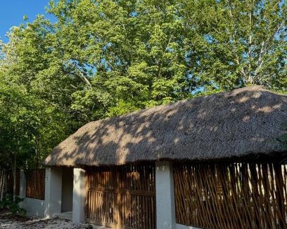 Leona Vicario House | La Cueva de Piedra