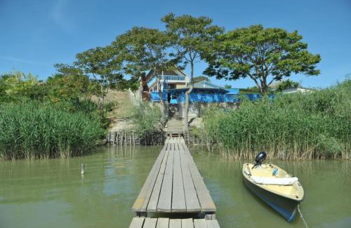 Sarichioi House | La Cupric