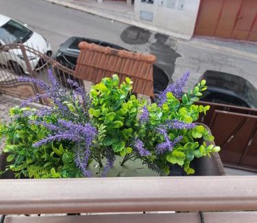 Canosa di Puglia Apartment | La Dea Busa