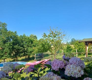 Saint-remy-de-provence Bed & Breakfast | La diligenza