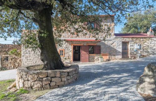 Padru Villa | La Dimora degli Dei