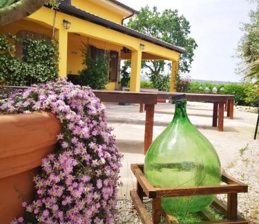 Montefiore dell'Aso Apartment | La Dolce Vallata