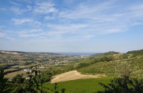 Montefiore dell'Aso Apartment | La Dolce Vallata