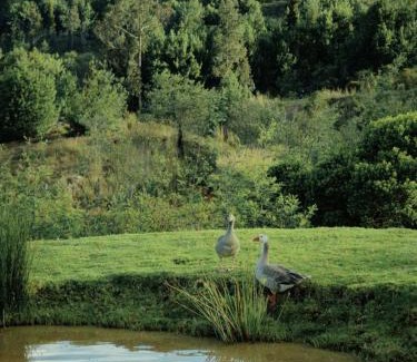 Guatavita Villa | La Dolce Vita, Guatavita
