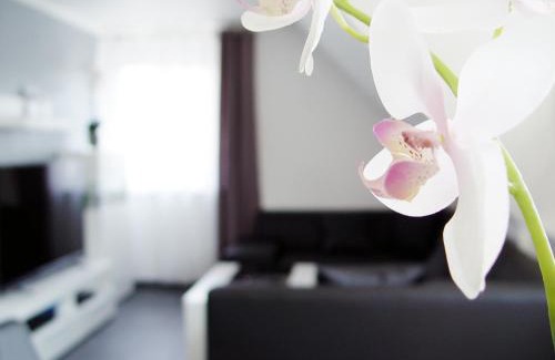 Lotte Apartment | La Domus Premium Osnabrück Lotte