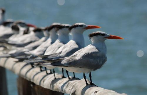 Manzanillo House | La Ensenada Lodge