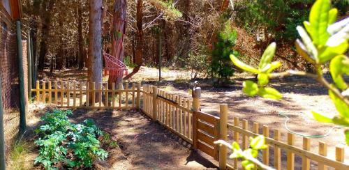 Valparaiso Hotel | La ermita del bosque