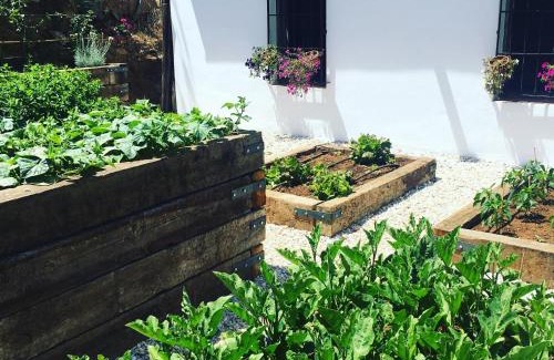 Constantina Villa | La Escribana