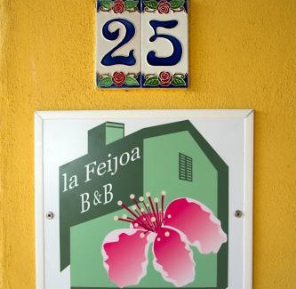 Segni Apartment | La Feijoa