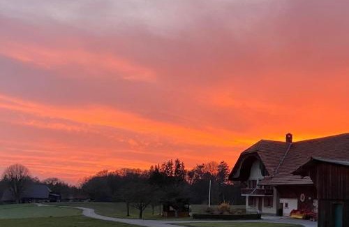 Courtepin House | La Ferme