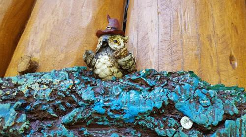Plesse House | La ferme de Piardiere
