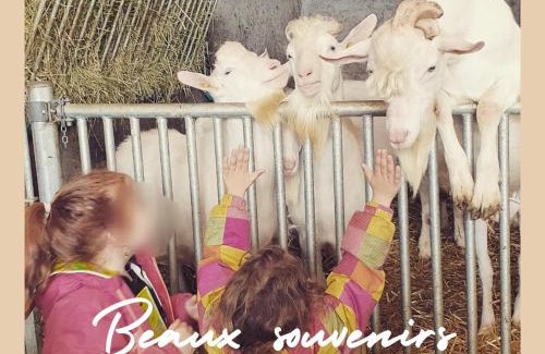 Courroux Apartment | La Ferme du Solvat